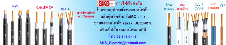 ҹػó俿Ҥ THW NYY VAF VSF VCT